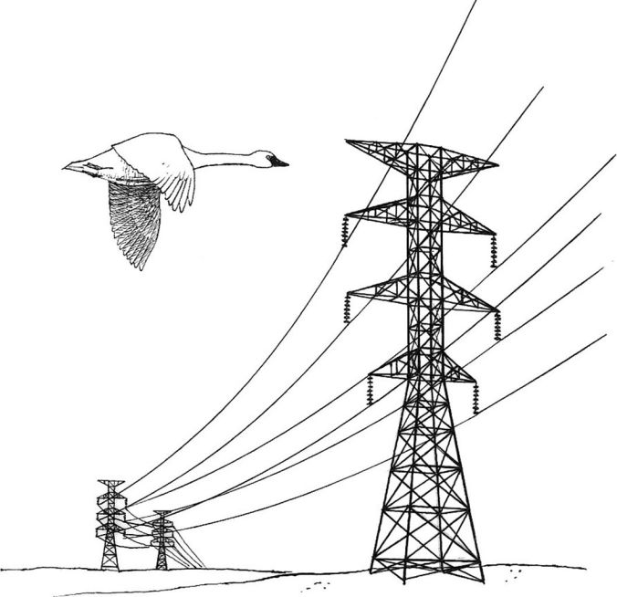 Power_lines_hazard_illustration